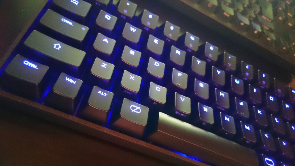 blackpawn
